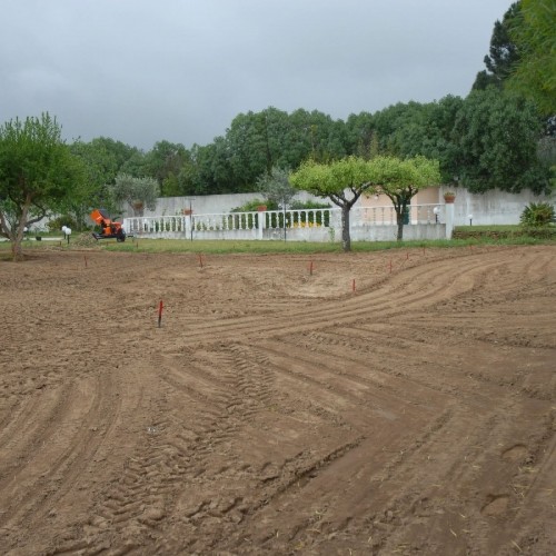 Projeto e Construção de jardim